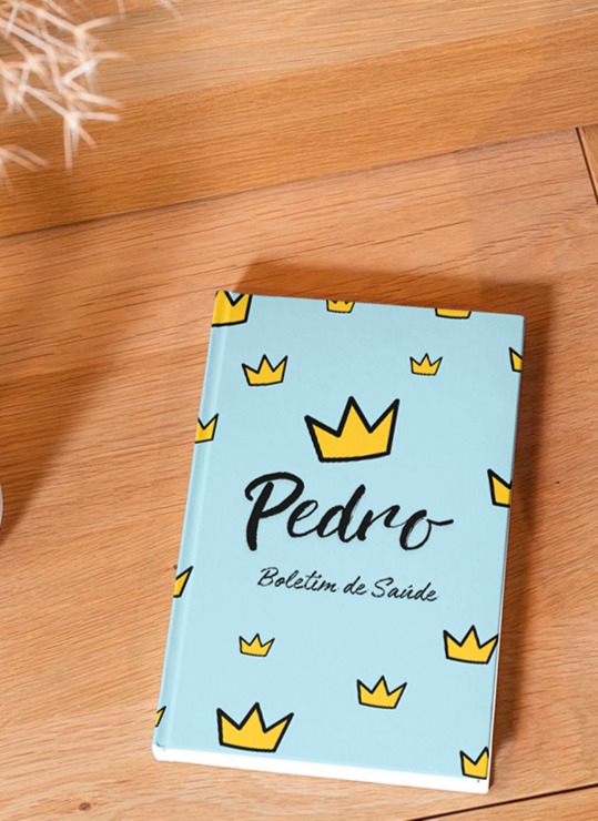Capa para boletim de saúde - Modelo Princípe